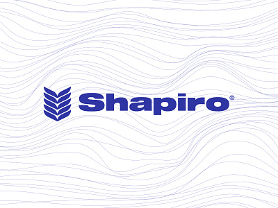 Shapiro - Publishing agency logo design