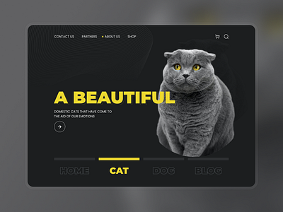 Cat web concept 3d animal cat design figma graphic design ui uiux web