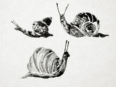 Snails