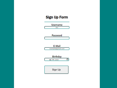 Simple and Functional Login Form