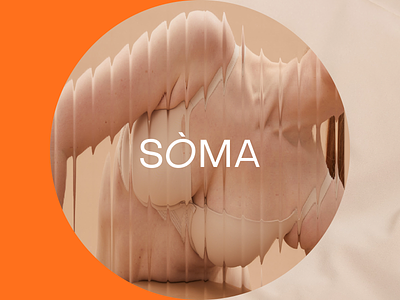 Soma - logo for lingerie body bra brand brand identity brandcolors branding clothing graphic design illustration interfacedesign lingerie logo logodesign nightwear pyjamas shopping soma ui ux uiuxdesign underwear