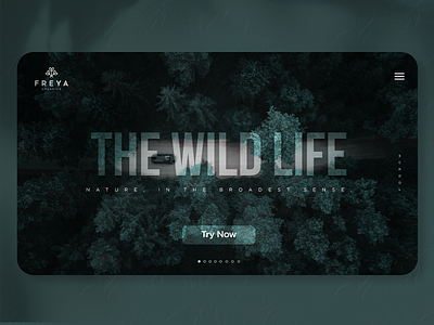 Wild Life UI Design brand identity branding design illustration minimalist logo typography ui ux vector web