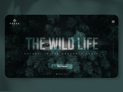 Wild Life UI Design