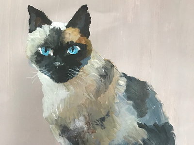 KITTY acrylic animal cat fauna illustration painting pet portrait