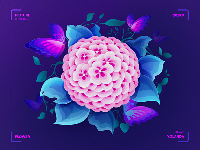 Flowers and butterflies（花开蝶自来） butterflies flower illustration graphic illustration landing page leaves pink and purple product design visual design visual style guide website