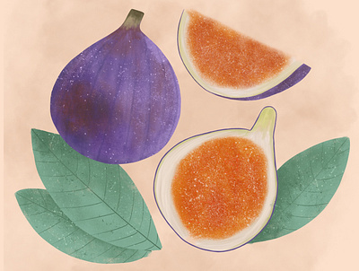 Figs figs graphic graphic design illustration motion graphics texture