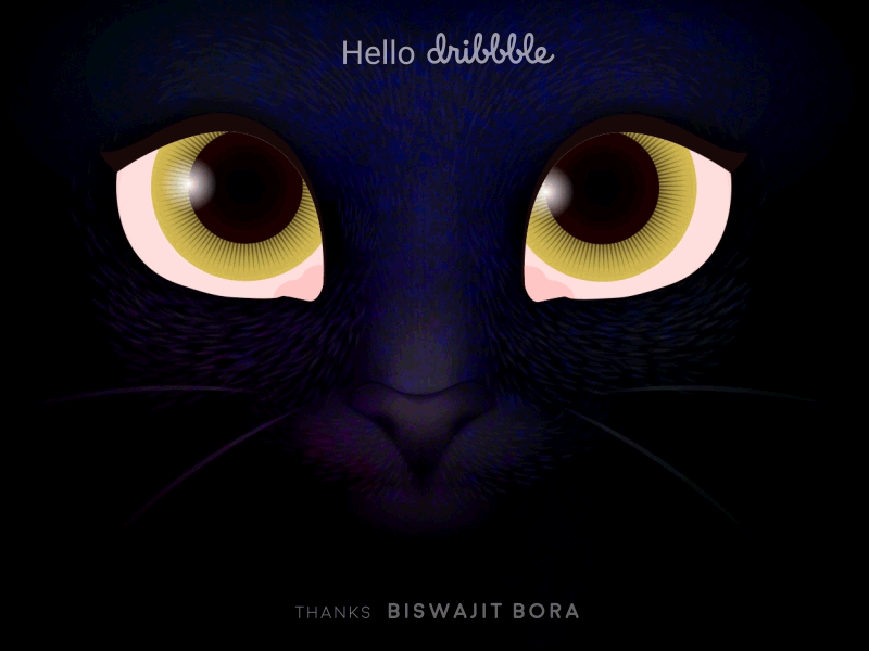 Hello Dribbble animated gif animation animation 2d cat dribbble eyes gif hello hello dribbble illustration kitty motion graphics