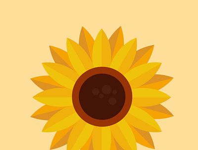 Sunflower in bloom art clipart design flat flower graphic icon illustration illustrator logo minimal vector vectorart