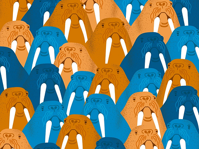 Walrus meetup art blue brown design graphic design illustration orange vector vector art walrus walruses