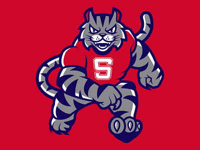 Tom Cat Mascot