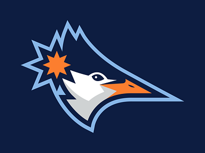 Tampa Terns Concept