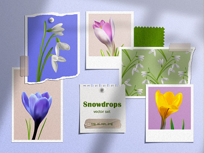 Snowdrop, crocus, primrose set. botany digital paper eco nature sam2211 seamless pattern sticker vector