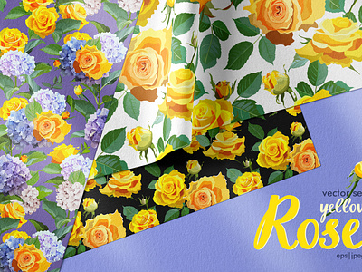 Rose flowers. Vector illustrations, seamless patterns.