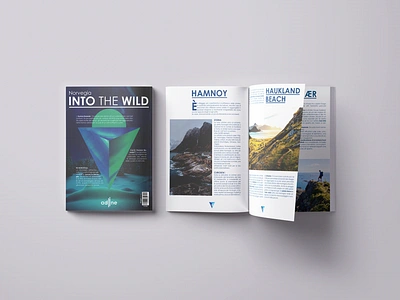 NORWAY MAGAZINE adobe illustrator adobe indesign browse contemporary illustrations indesign into the wild magazine modern natural nature norvegia norway photos photoshop rivista travel typography typography art viaggi