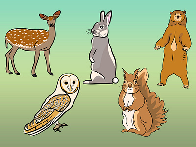 Illustration - woodland animals