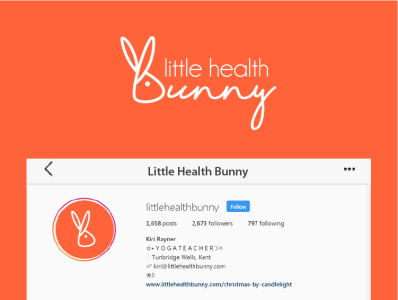 Bunny Logo bunny logo