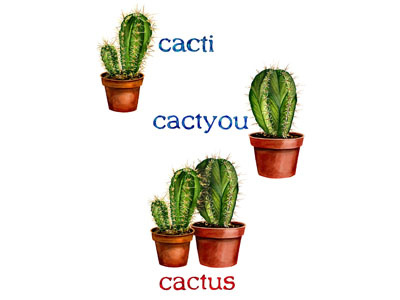 Cactus Card cactus greeting card illustration puns watercolor wordplay