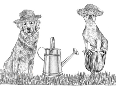 Illustration for Ralph Lauren's Spring Sale advertising dogs drawing graphite illustration marketing ralph lauren spring