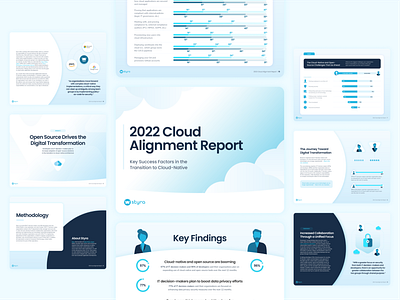 Cloud Report branding cloud design graphic design illustration layout report