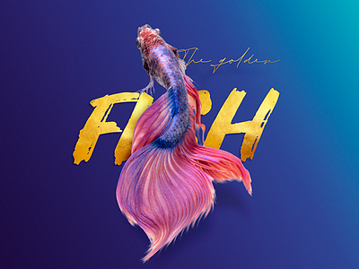 The golden fish design fish goldfish graphic design