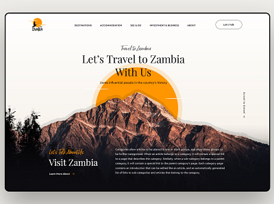 Website Design - Zambia | Klaamgraphics dashbaord icon illustration ux web design web desin web ui webdesign website website design