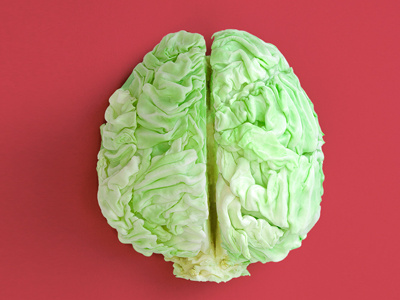 brain brain cabbage concept