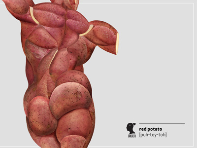 Anatomy of fruits and vegetables anatomy body dan cretu food food design muscle potato