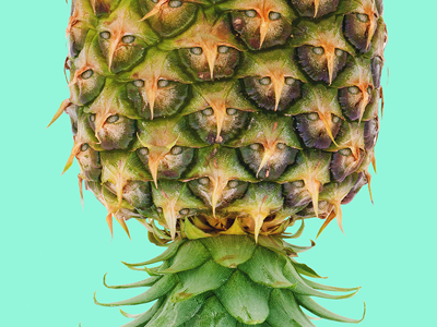 bunch of owls creative dan cretu owl pineapple