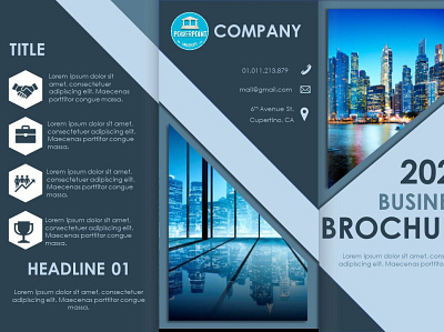 Brochure art branding brochure design design illustration illustrator web