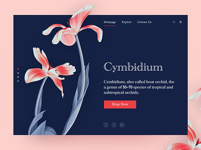 Cymbidium app blue clean cymbidium flower graphic design illustration orchid red ui ux web