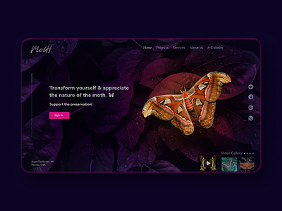 MotH - Homepage animal conservation conservatory dark ui eco ecology homepage homepage design insects library moth nature nocturnal random ui design uiux visual design web design