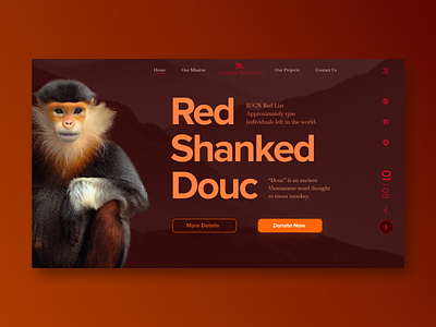 Langur Sanctuary - Homepage animals crisis da nang donate endangered endangered species homepage langur monkey red shanked douc sanctuary uiux vietnam visual design web design