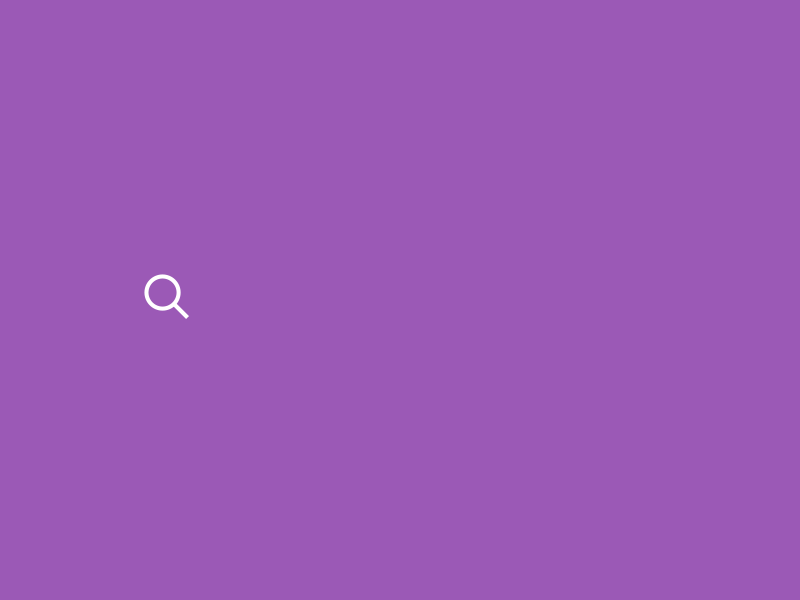 Search for something animation flat gif interaction purple search search bar ui