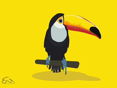Toucan animation art branding design graphic design illustration ui vector
