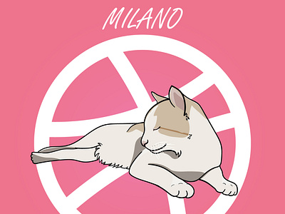 Milano 😸🐈