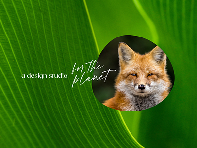 Little Fox Design branding design green graphic design logo logo design minimal typography