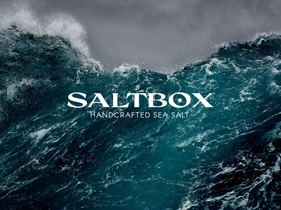 Branding for Saltbox Sea Salt branding green graphic design logo logo design minimal sustainability