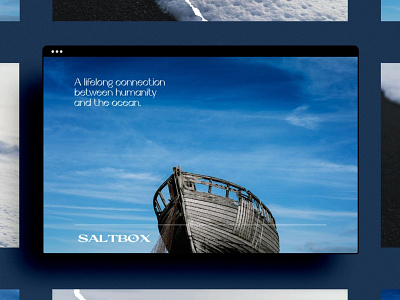 Branding for Saltbox Sea Salt branding design green graphic design logo logo design minimal web design