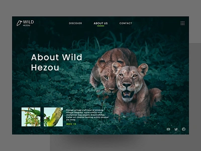 Wild animals / About us about about page about us aboutus animal animals figma ui wild wild animal wild animals wild life wildlife xd