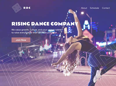 Dance Company Landing Page branding design logo