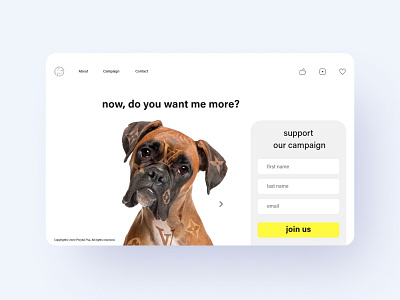 landing page for non-profit organization adobe xd branding clean design design figma landingpage non profit ui uidesign uxdesign web webdesign website