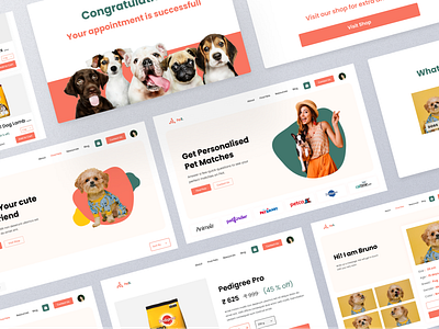 PetX Responsive WebDesign landing page minimal pet adoption pet appointment pet food petx ui uiux ux web design