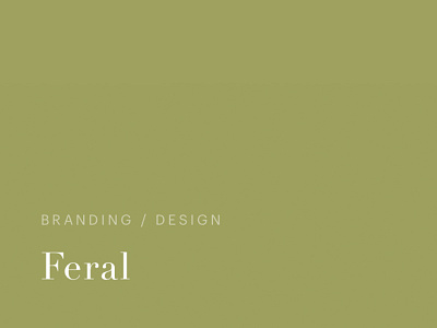typography design development typography website
