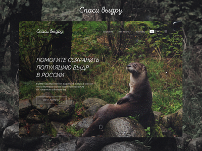 Save otters in Russia design otter otters ui ux wwf