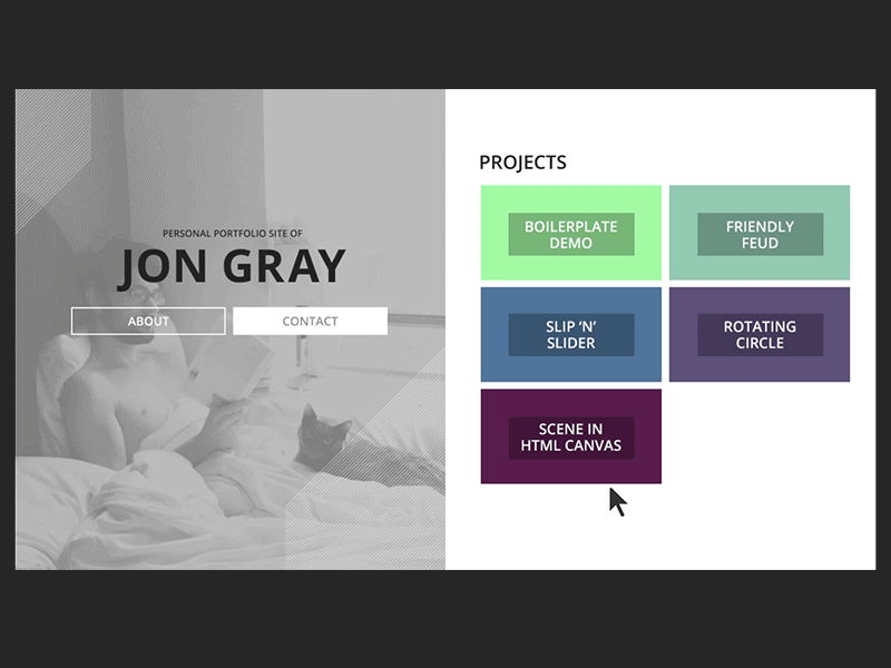 Developer Portfolio Site Concept