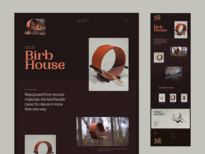 Bird Feeder Concept brown concept dark interface layout typography ui ux web website