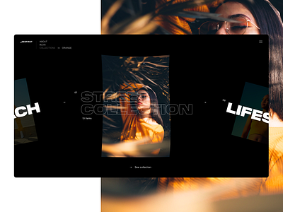 Collection Browser black collection concept design experiment flat interface layout typography ui ux white