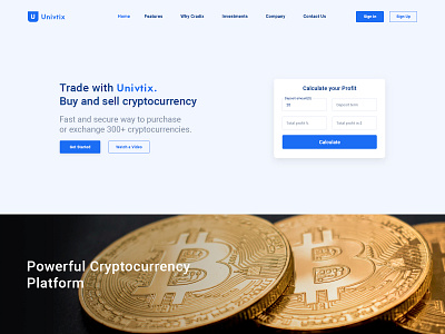 Cryptocurrency Landing page design bitcoin bitcoin services cryptocurrency landing page design uxdesign web design company