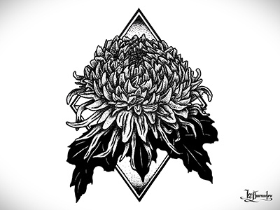 Hrysanthemum back design dot draw flower graphic hrysanthemum illustration ink paper