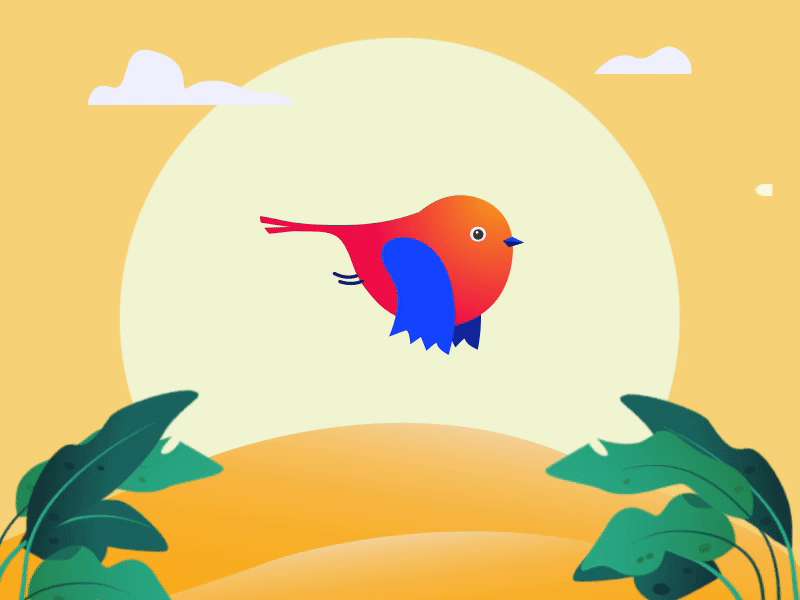 flying tiny bird 2d animation 2d character after effects animation explainer illustration jungle motion graphics parrot plants sky summer transition vector wings